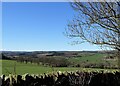 NZ1054 : Looking over the valley from Whinney Lane by Robert Graham