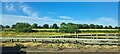 SE4820 : A1 north of Darrington: looking west across the central reservation to the fields beyond by Christopher Hilton