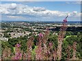 SO9876 : View from Beacon Hill by Mat Fascione