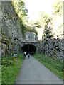 SK1672 : Cutting and eastern portal of Litton Tunnel, Monsal Trail by David Smith