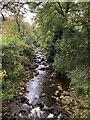 SD9598 : Gunnerside Beck at Gunnerside by David Robinson