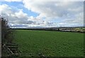 NZ1053 : Looking up the valley from the Derwent Walk by Robert Graham