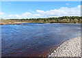 NJ3461 : River Spey by Anne Burgess