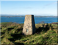 J5852 : Ballywhite Triangulation Pillar by Rossographer