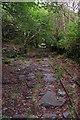 SH5860 : Looking up the bed of the lowest pitch of the Dinorwig A incline plane railway by Martyn Pattison