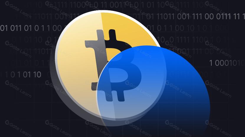 ¿Qué es Bitcoin tokenizado?