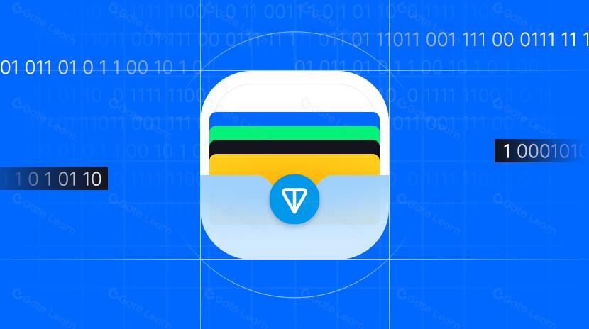 A Comprehensive Overview of TON Wallet