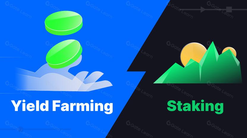 Yield Farming contre Staking