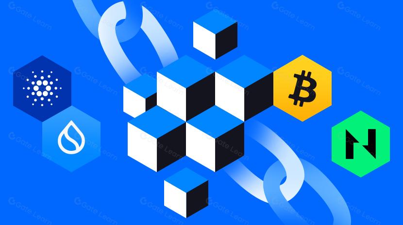 BTC'den Sui, ADA ve Nervos'a: UTXO Modeli ve Uzantıları