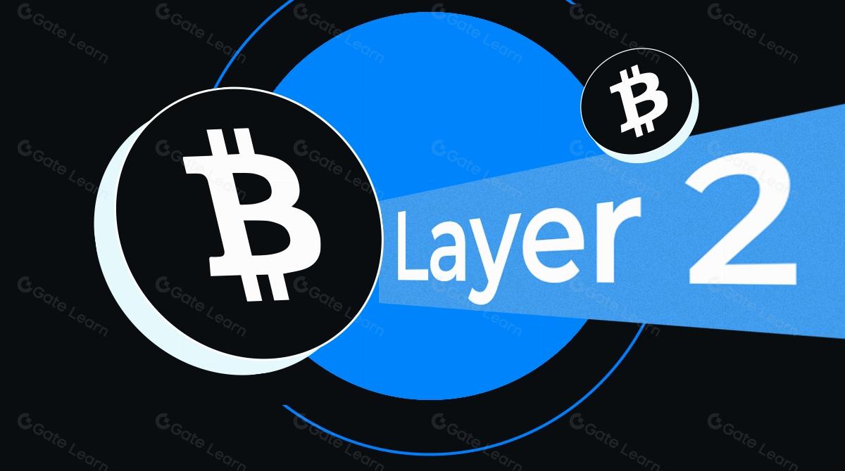 Overview of Bitcoin Layer 2 Networks