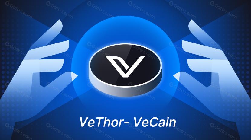 VeChainThor, A Versatile Enterprise-Grade L1 IoT Platform