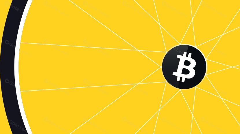 OP_NET ve Arch: Bitcoin üzerinde Akıllı Sözleşmeleri Keşfetmek