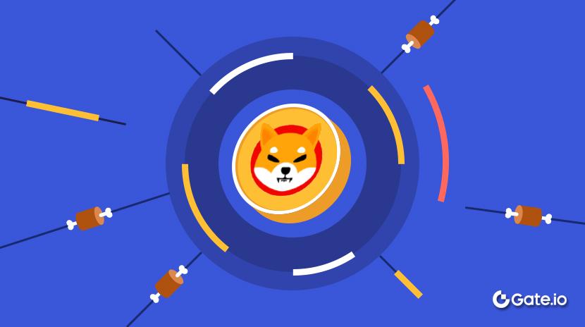 What is Shiba Inu Coin?