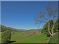 SD9598 : Gunnerside, Swaledale by wfmillar