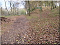 SJ9385 : Footpath near Parkgate Farm by Chris Wimbush