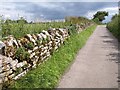 ST9287 : Limestone wall, Danielswell Farm by Derek Harper