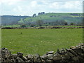 SK2557 : Upland pasture above Ible by Andrew Hill