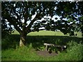 SE6045 : Bench along the Selby cycle path by DS Pugh