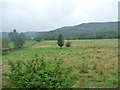 SK2663 : Derwent valley farmland [2] by Christine Johnstone