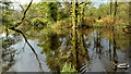 J3370 : Flood, Lagan towpath, Belfast by Albert Bridge