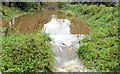 J3369 : Overflowing canal, Moreland's Meadow, Belfast by Albert Bridge