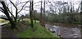 H4672 : View along the riverbank, Camowen River by Kenneth  Allen