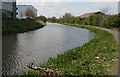 NT1870 : Union Canal at Hermiston Quay by Anne Burgess