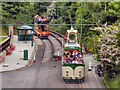 SK3455 : Trams Leaving Victoria Park by David Dixon