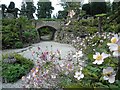 SE5006 : Brodsworth Hall fern garden by Steve  Fareham