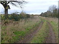 TF8235 : Barn Owl nesting box on Jack's Lane by Richard Humphrey