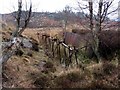 NU0402 : Disused rifle range above Rothbury by Andrew Curtis