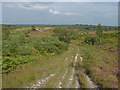 SU8350 : Bourley Hill training grounds by Alan Hunt