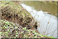 J3067 : Disused canal near Dunmurry (December 2014) by Albert Bridge