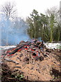 SO9974 : Burning Brash and Shrubs The Lickey Hills by Roy Hughes