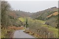 NT6873 : Road near The Brunt by Richard Webb