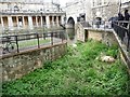 ST7564 : Swans' nest, above Pulteney Weir, Bath by Christine Johnstone