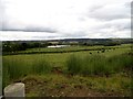 NZ1645 : View over the Browney valley from the top of Bargate Bank by Robert Graham