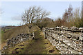 SE0991 : Leyburn Shawl approaching Warren Wood by Chris Heaton