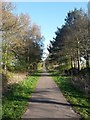 SE6045 : Cycle path near Naburn by DS Pugh