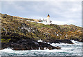 NT6599 : Coastline, Isle of May by William Starkey