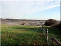 TM0420 : Fingringhoe Wick Nature Reserve by PAUL FARMER