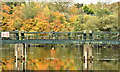 J3470 : The Stranmillis weir, Belfast - November 2017(2) by Albert Bridge