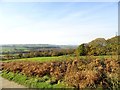 NZ1946 : View over the valley by Robert Graham