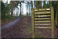 SO9974 : Lickey Hills Country Park by Stephen McKay