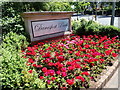 J3370 : Flower bed at the entrance  to Danesfort Park by Eric Jones