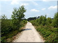 TQ5536 : Road on Broadwater Warren RSPB Nature Reserve by PAUL FARMER