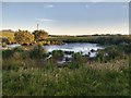 SH2740 : Duck pond at Porth Dinllaen Farm by David Medcalf