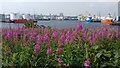 NJ9505 : River Dee and Aberdeen Harbour by Mat Fascione