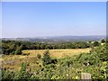 NZ1453 : View over the woods at Dipton by Robert Graham