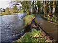 H4772 : Riverbank washed away along the Highway to Health path by Kenneth  Allen